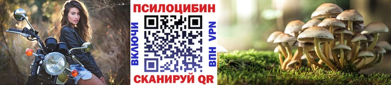 Псилоцибиновые грибы MAGIC MUSHROOMS  Медвежьегорск 